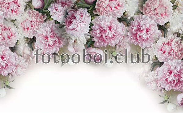 розовые пионы, цветы, бутоны, дизайнерские, 3д, 3d